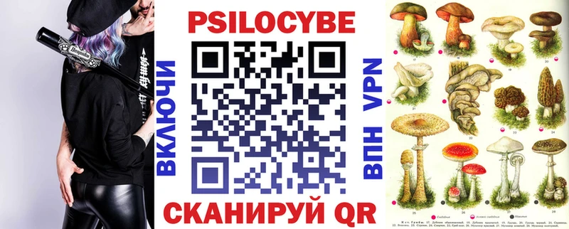 Псилоцибиновые грибы мухоморы  площадка клад  Правдинск 